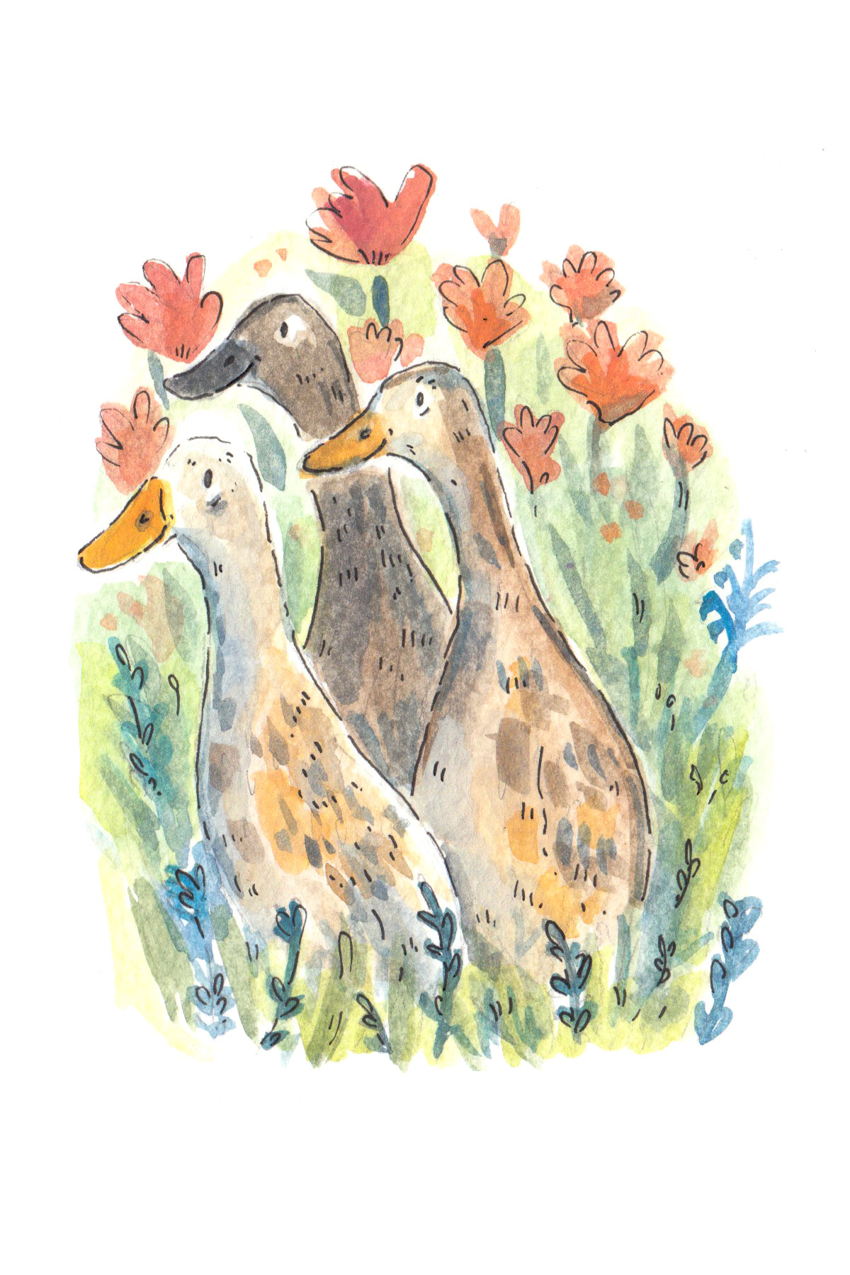 Runner Ducks Blank Greetings Card - Image 6