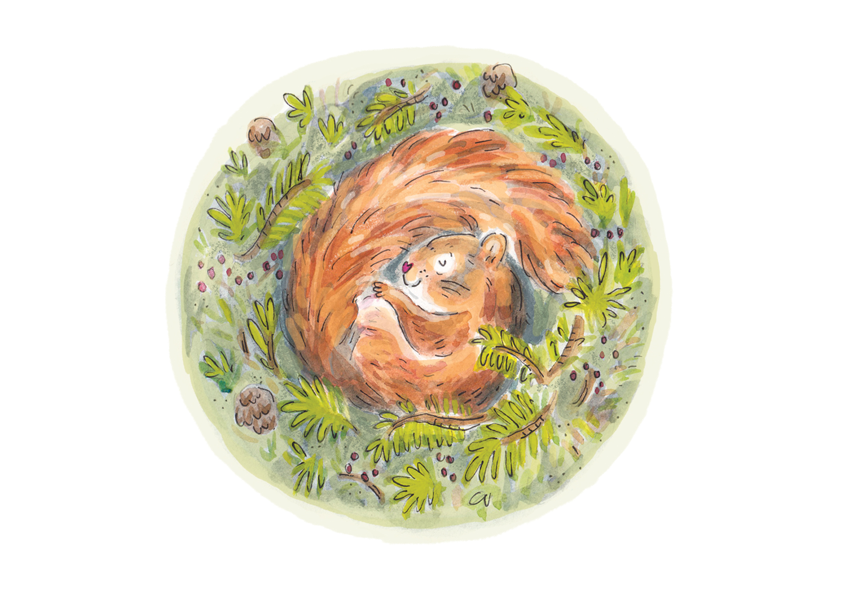 Sleeping Squirrel Greetings Card - Image 3