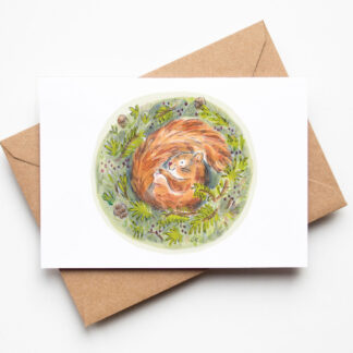 Sleeping Squirrel Greetings Card